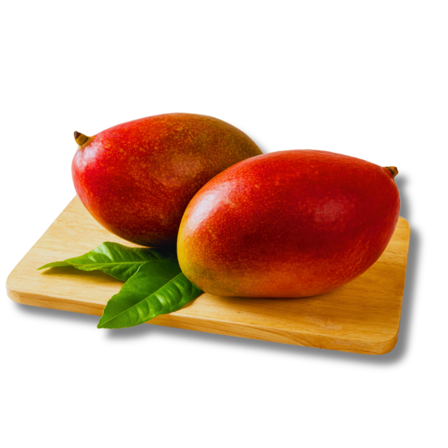 Manga palmer - unidade