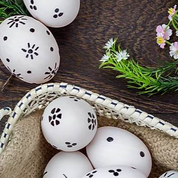 SALMÃO ESPIRITUAL FESTIVO