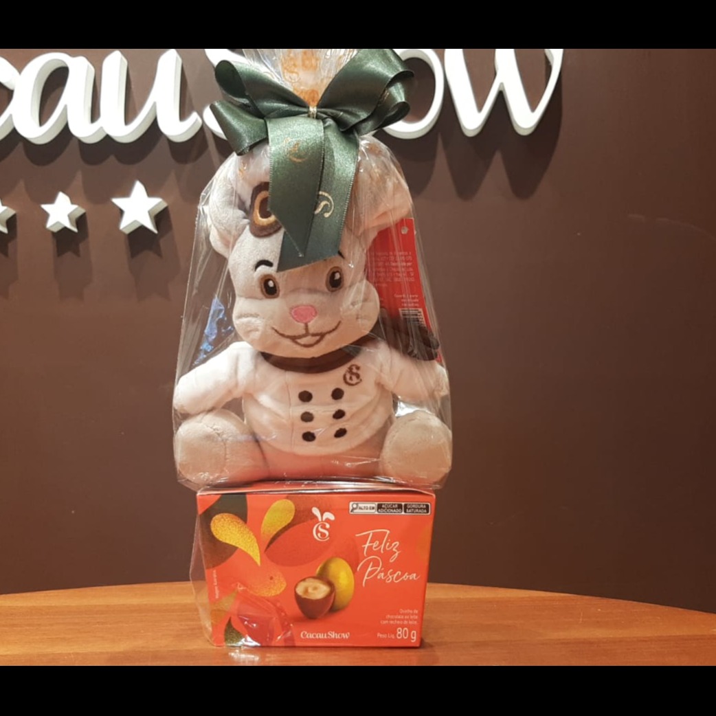 kit Pascoa Coelho #13