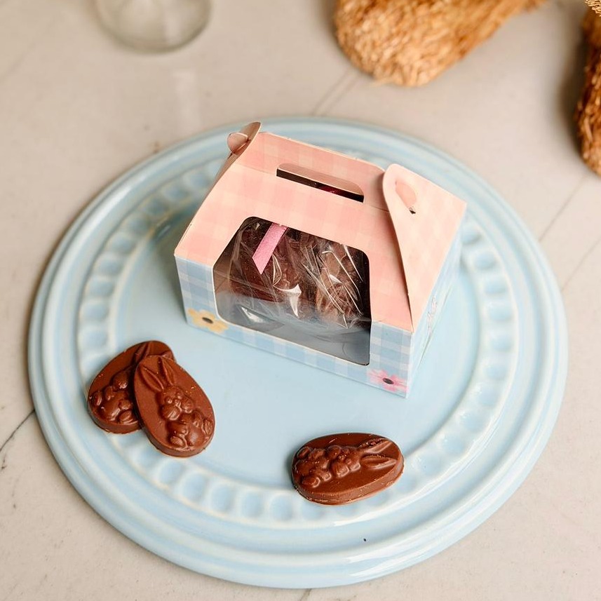 Maletinha com Medalhas de Chocolate ao Leite (100g)