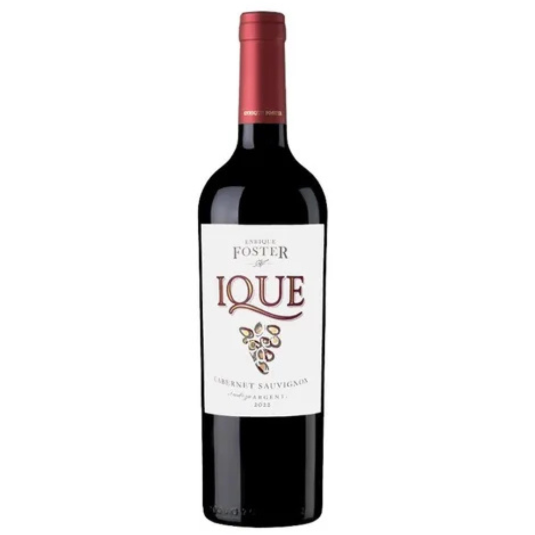 Enrique Foster IQUE Cab. Sauvignon
