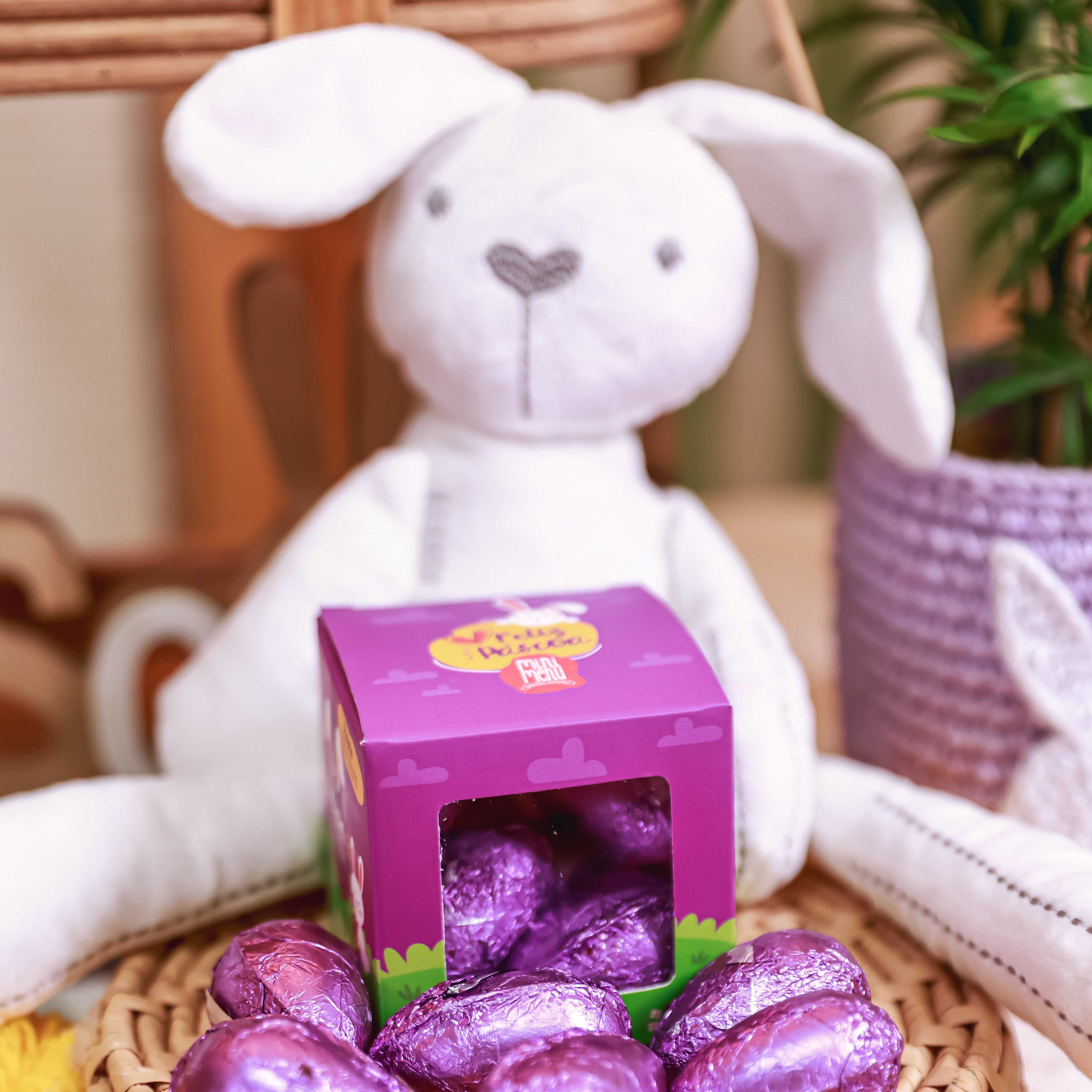 Kit Coelhinho + Cx ovinhos 6 unidades