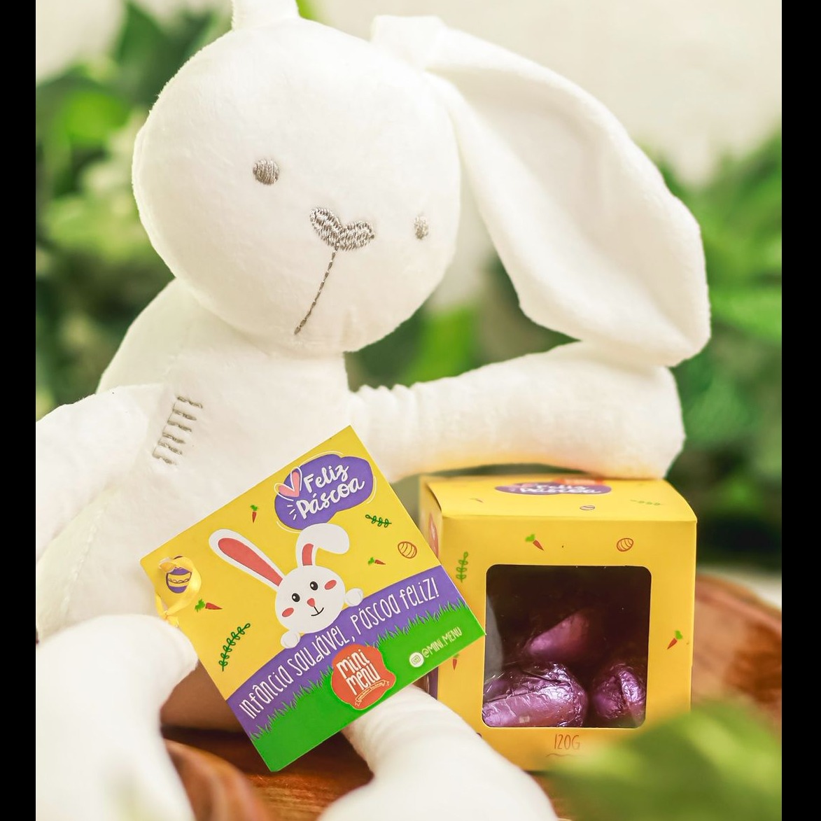 CAIXINHA DE OVINHOS + COELHO NANINHA