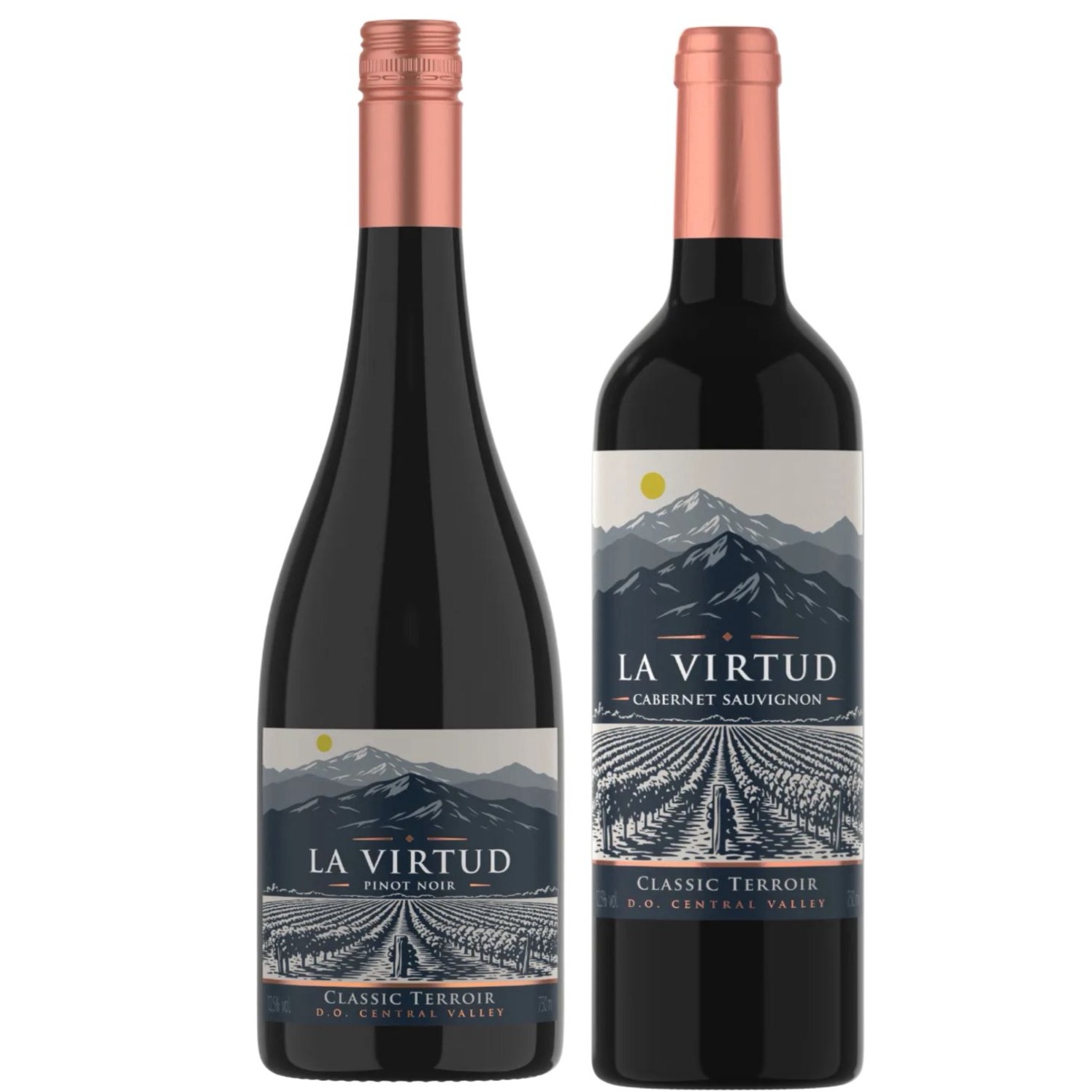 Dupla Chilena La Virtud Pinot Noir + Cabernet Sauvignon