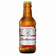 Budweiser 300ml retornavel