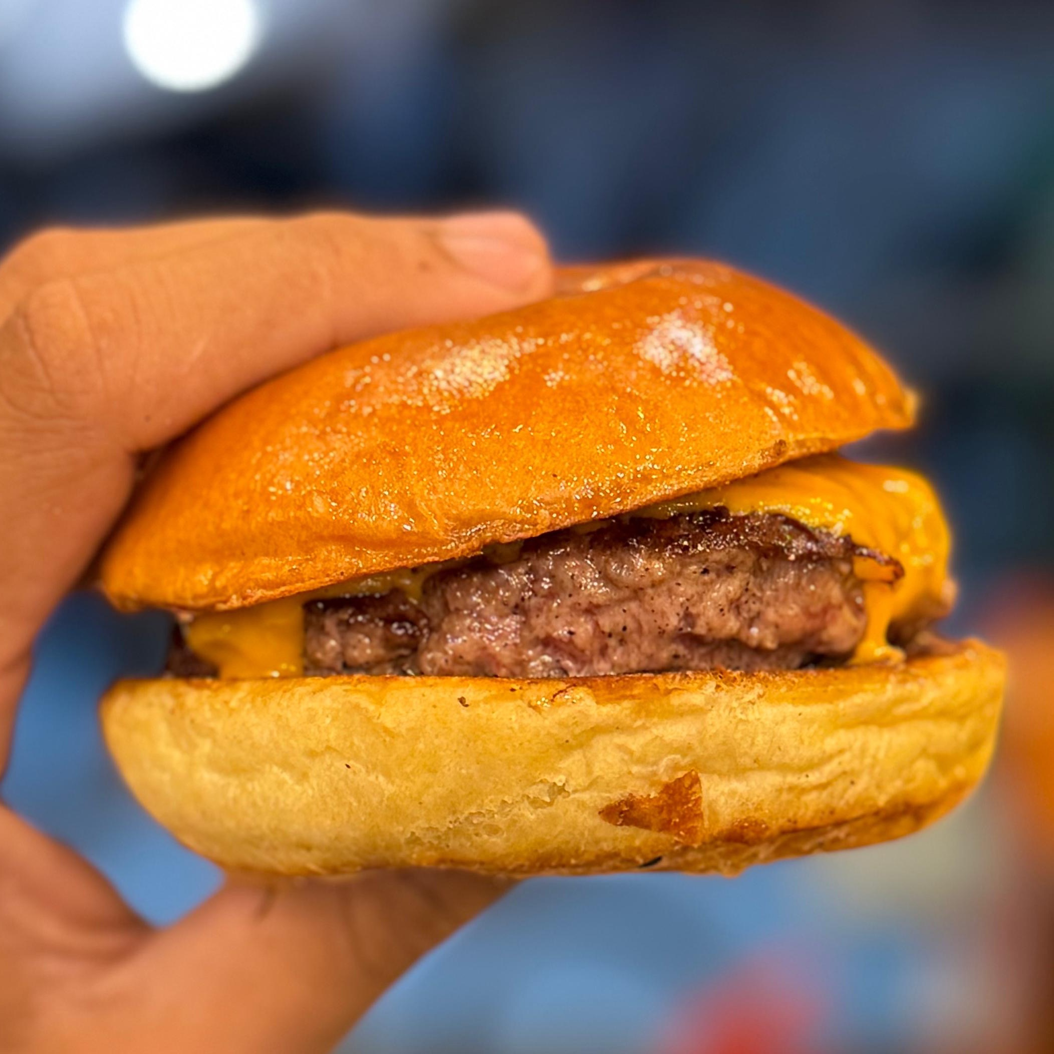 Pcq - Pão, Carne e Queijo Cheddar (160gr)