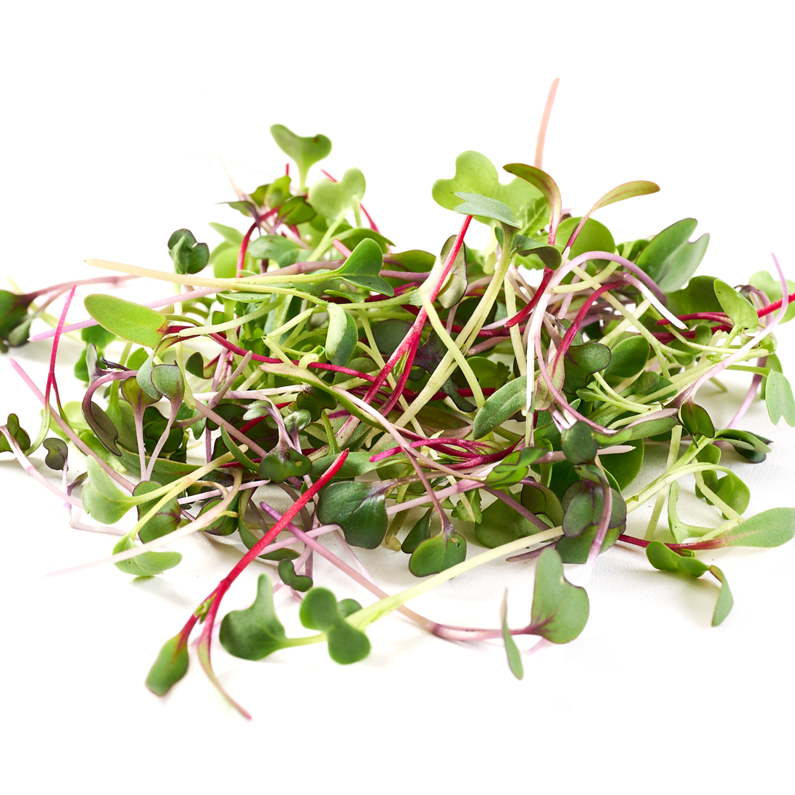 Mix de Brotos - 90g