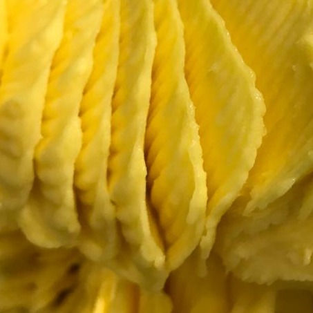 Gelato de maracujá