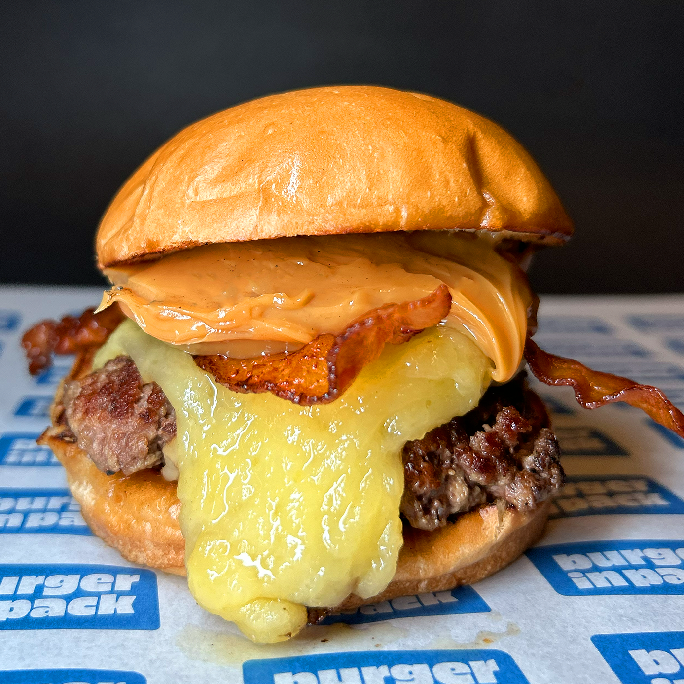 Combo Burger Exclusivo (Exclusivo para hoje)