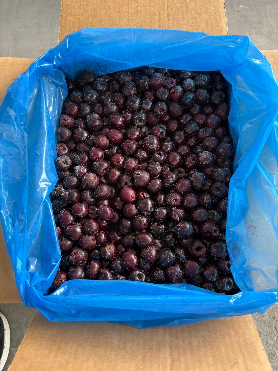 Cereja Negra Chilena 500g