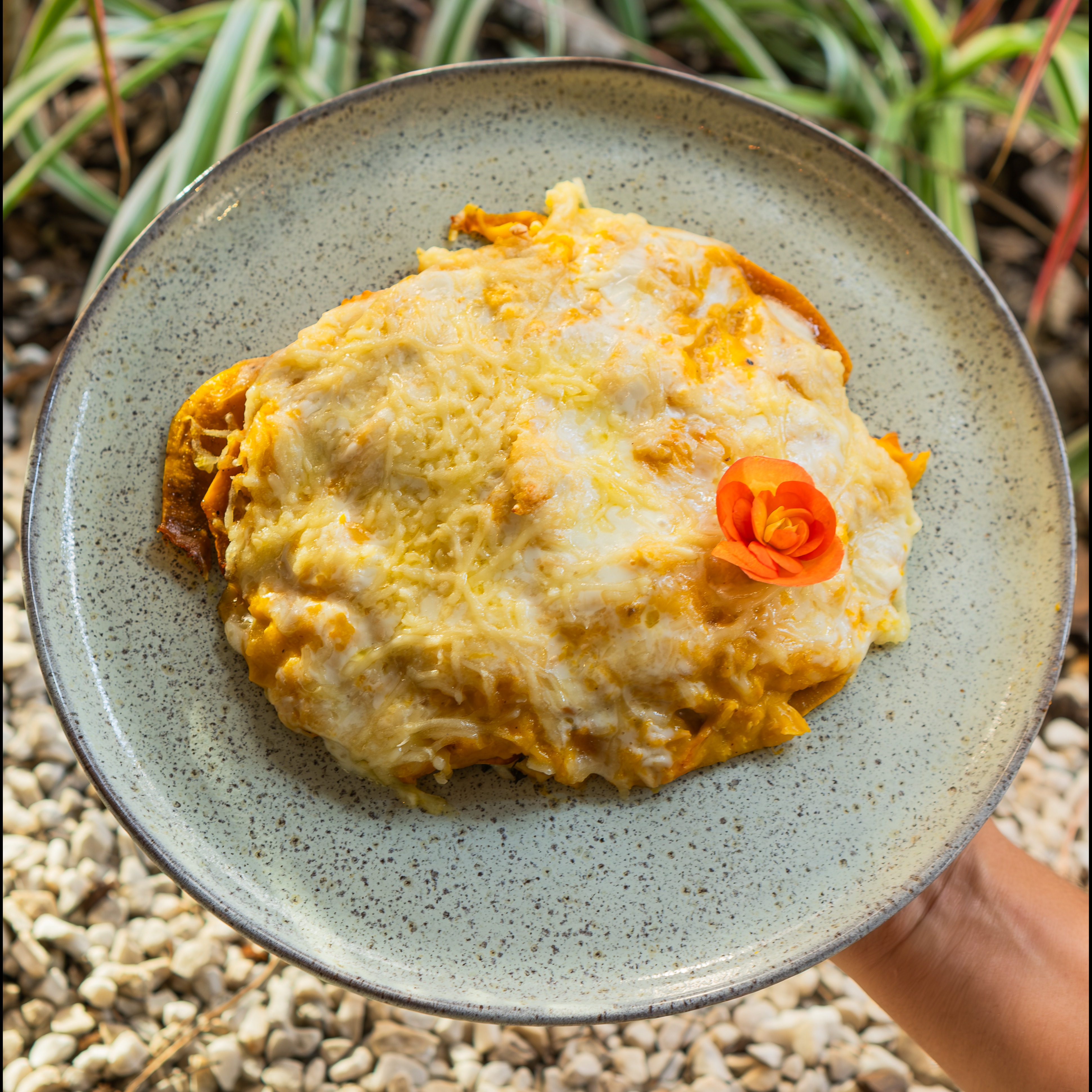 Escondidinho Mauli 