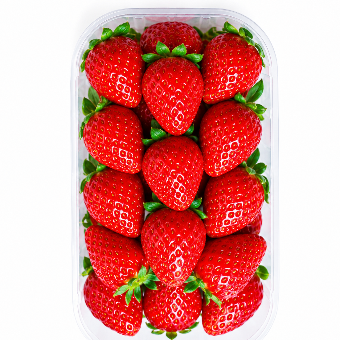 Morango 