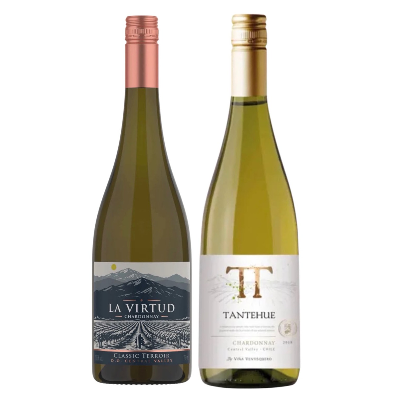 Dupla Chardonnay Chileno La Virtud + Tantehue