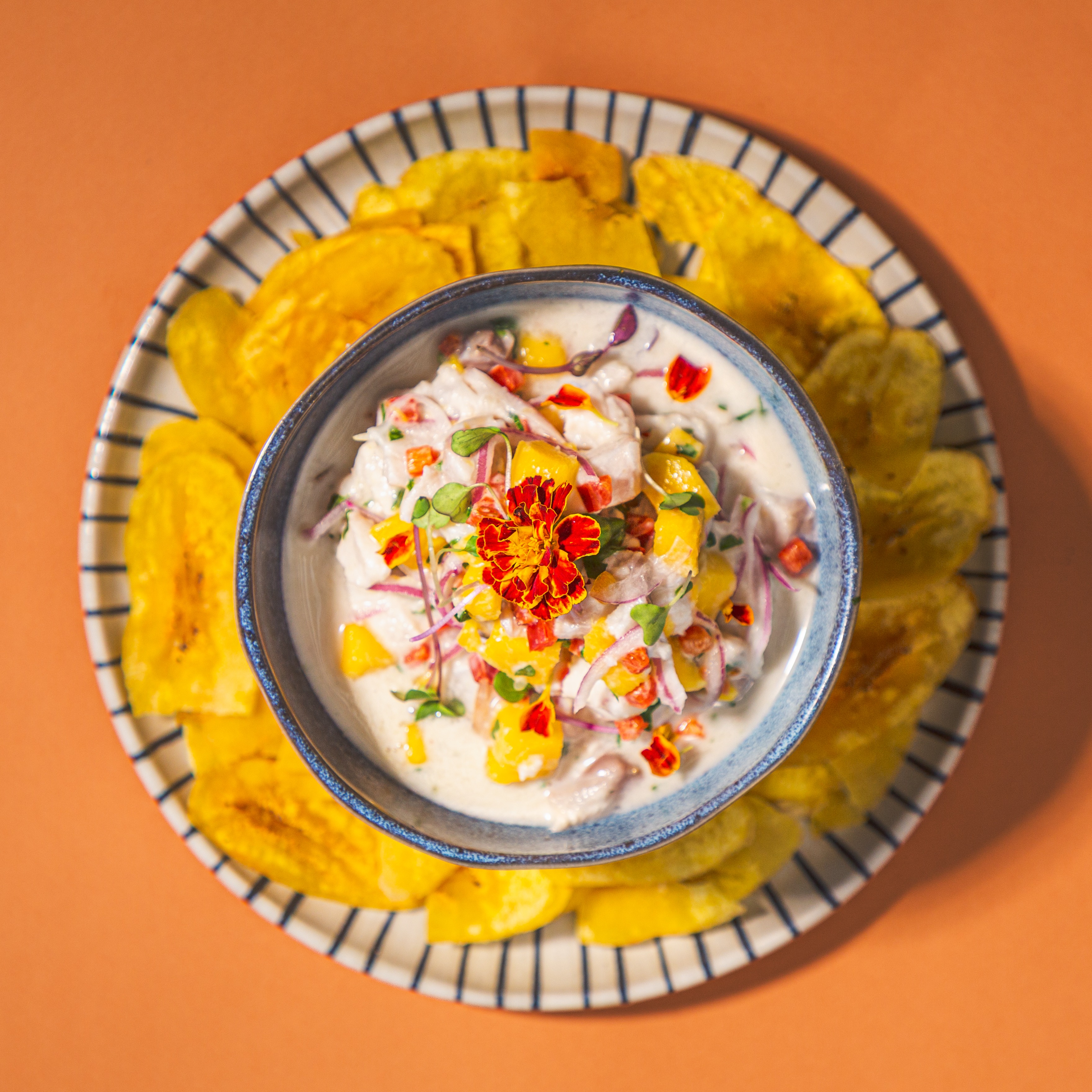Ceviche Tailandês