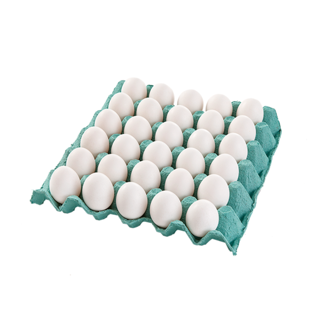 30 OVOS EXTRA BRANCO