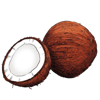 Côco Seco Un.