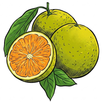Laranja Pera Un. 200g