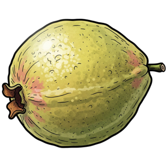 Goiaba Vermelha Un. 165g
