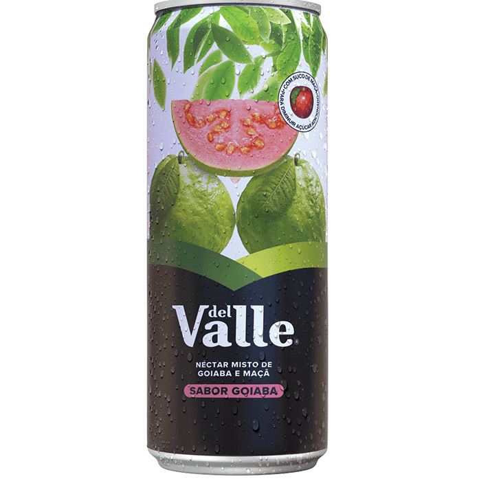 Del valle goiaba 290ml