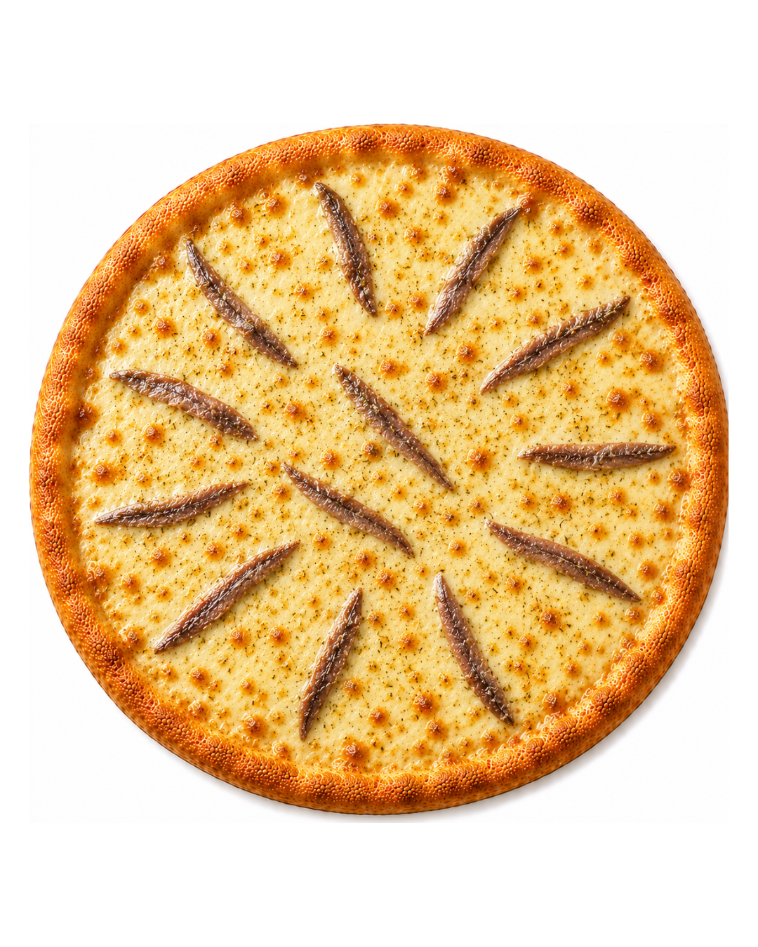 PIZZA ALICHE COM MUSSARELA