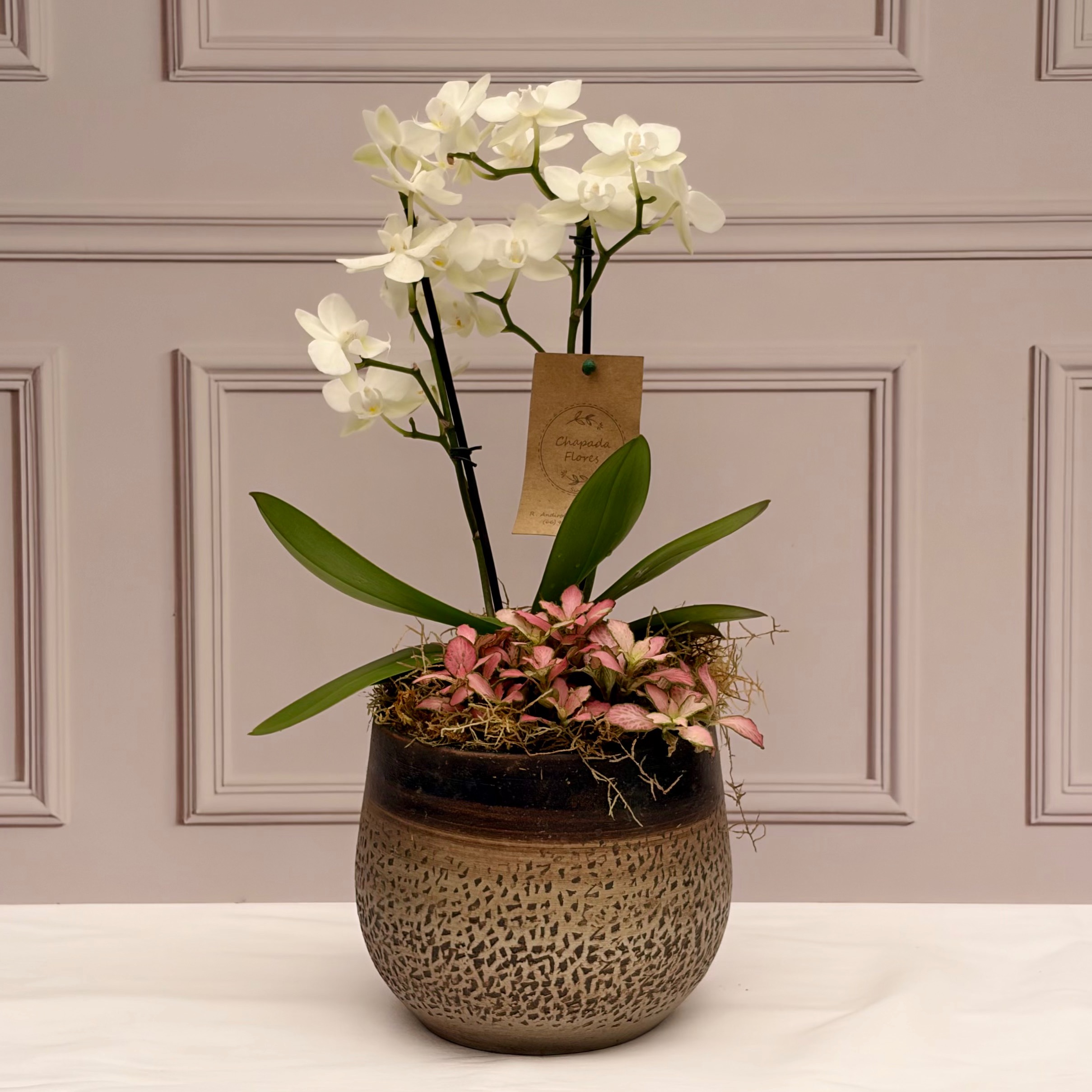 Arranjo Mya com mini Phaleanopsis branca