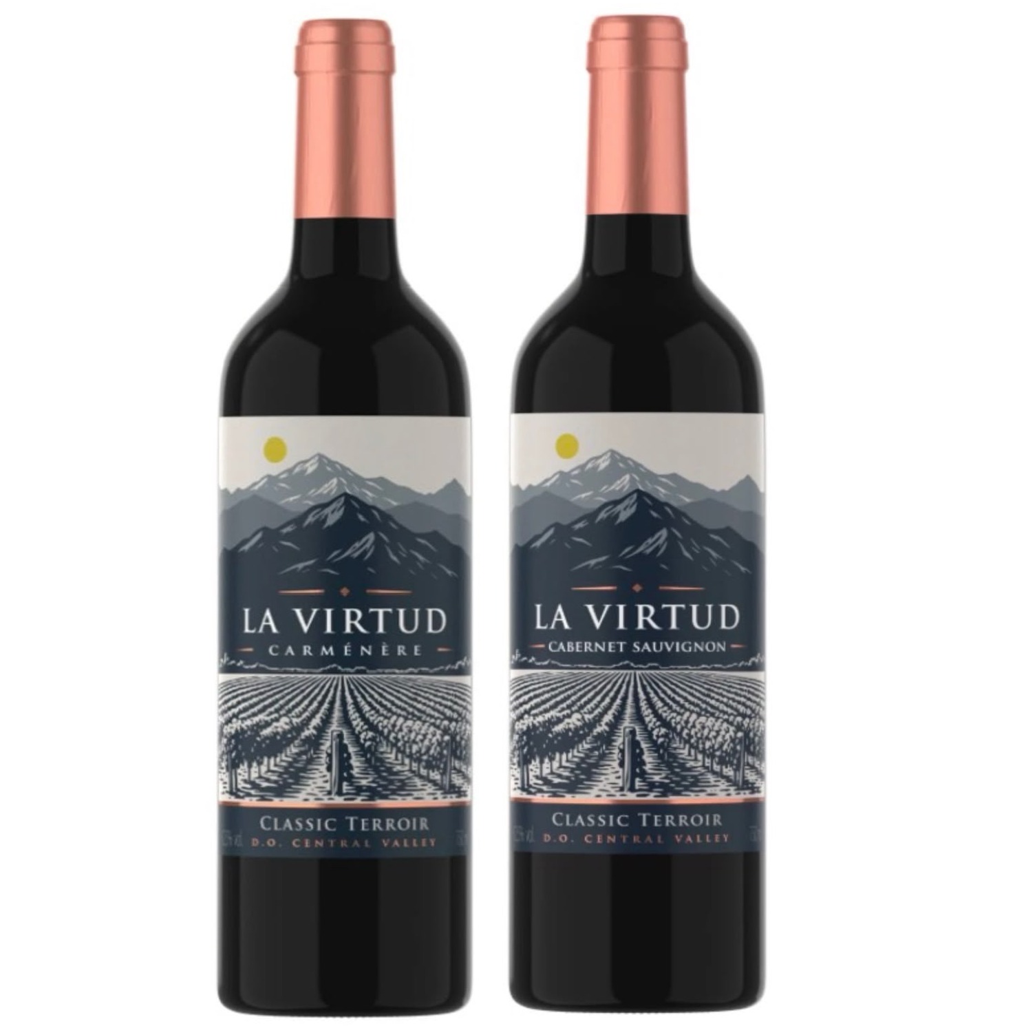 Dupla Chilena La Virtud Cabernet Sauvignon + Carmenere