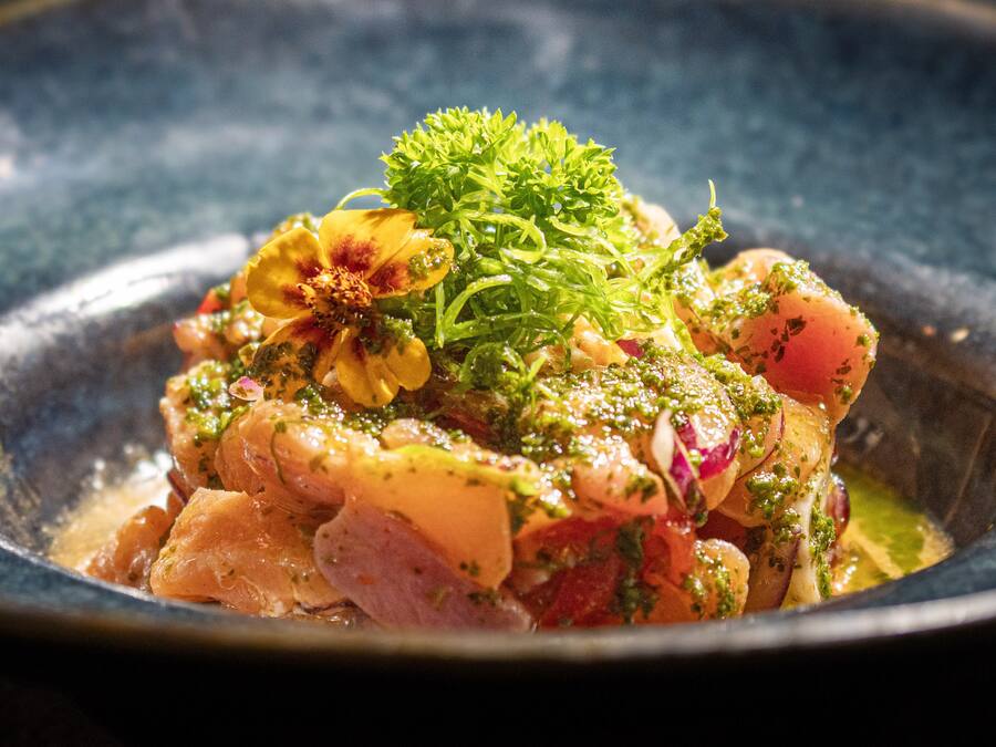 Ceviche Nagui de Salmão - 250g