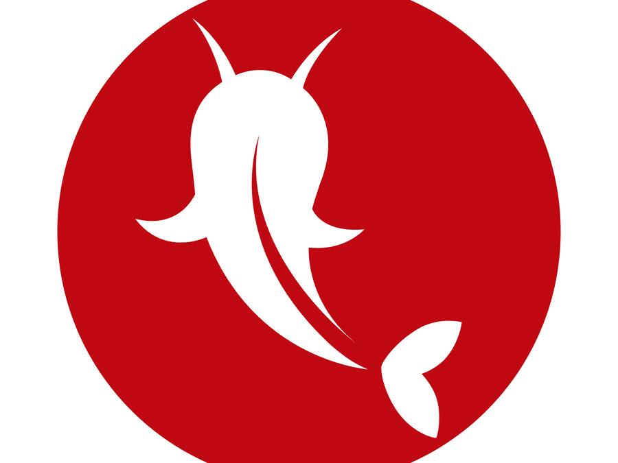 USE O CUPOM BOOMIE10