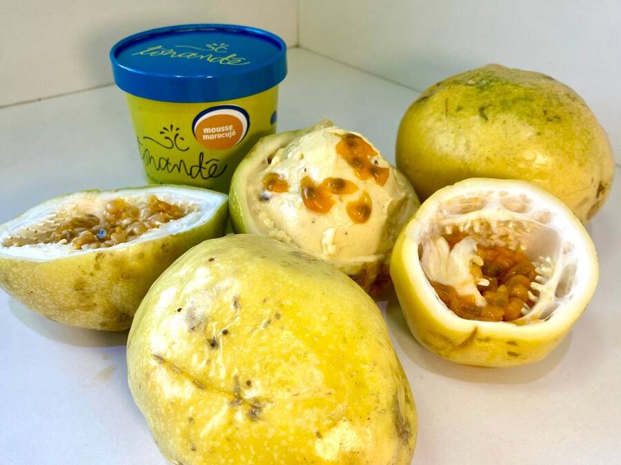 Gelato de Mousse de Maracujá Zero Açúcar 500ml