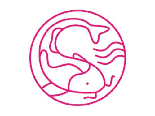 Kits e molhos extras. Escolha os seus!