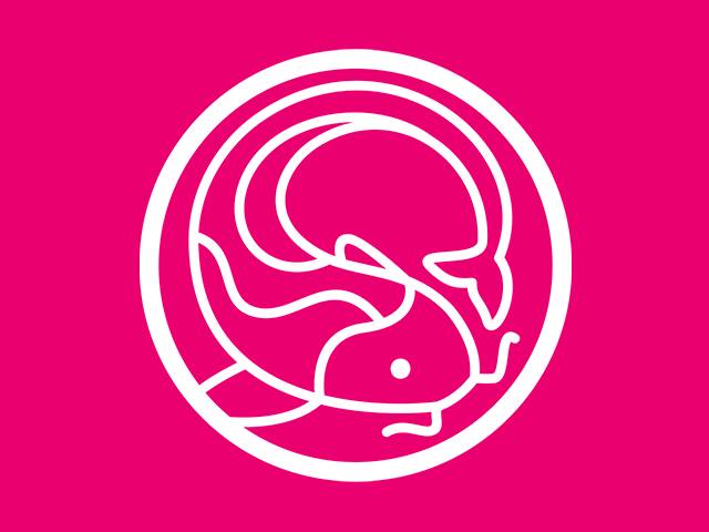 Kits e molhos extras. Escolha os seus!