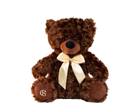 Pelúcia de Urso Marrom G