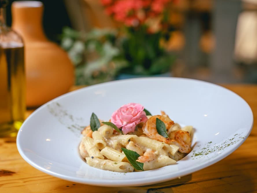 Penne com molho branco e camarões grelhados