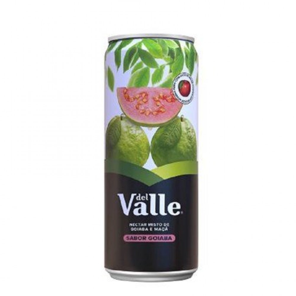 Suco Del Valle Goiaba 290 ml 