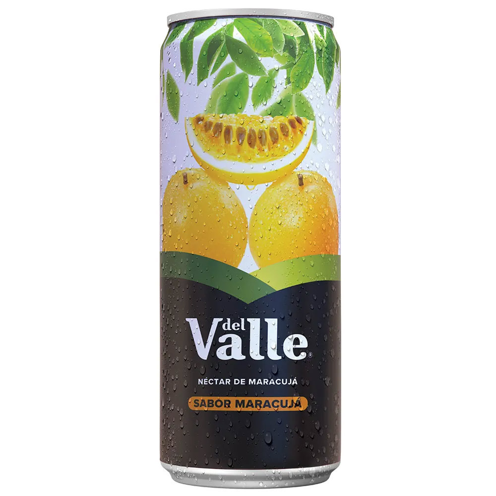 Suco Del Valle Maracujá 290 ml 